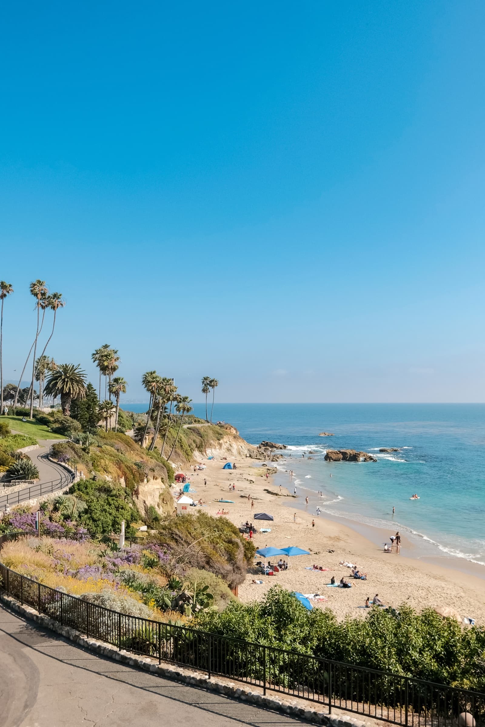 Laguna Cove