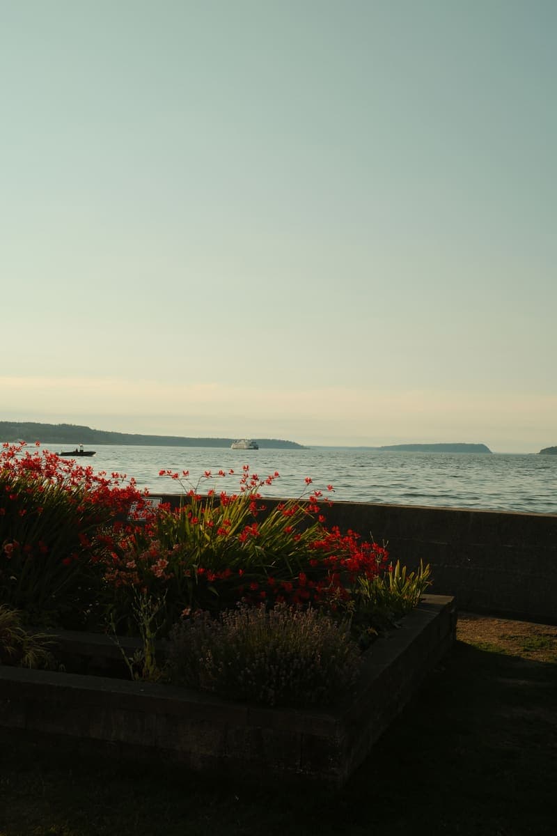 Seaside in Bloom