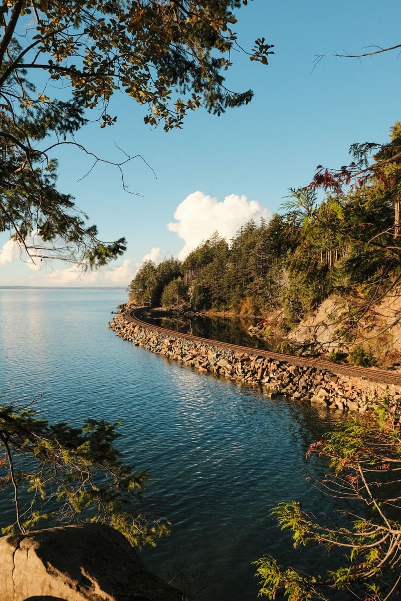 The Shore Road